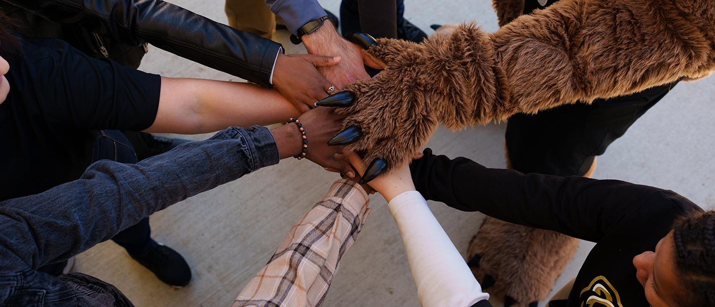 棕熊爪与学生的手合影，表现团结